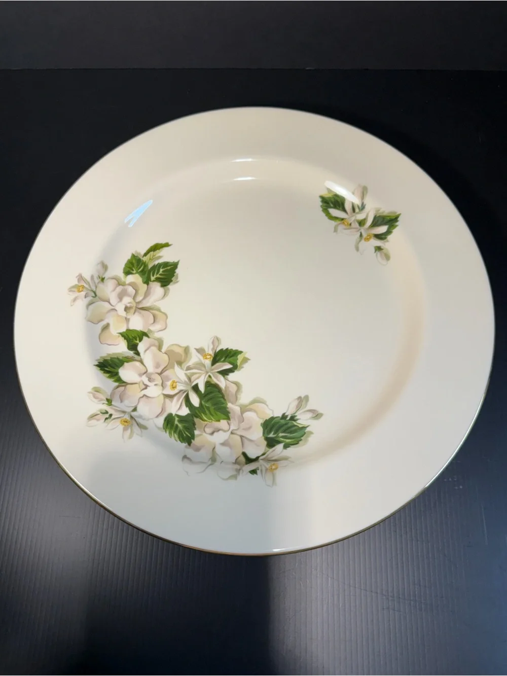 Vintage dinner plate in the 